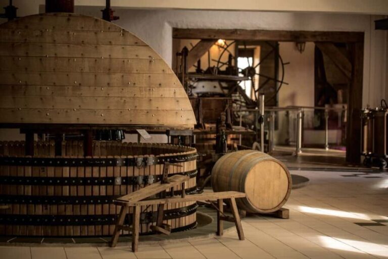 Plateau Gourmand : Charcuteries Champagnes et Fromages - The Experience in Detail