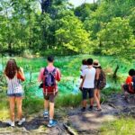 Plitvice Lakes Economy Group Tour from Split or Trogir - What’s Included and What’s Not