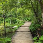 Plitvice Lakes & Rastoke village private tour from Zagreb - The Itinerary: What to Expect