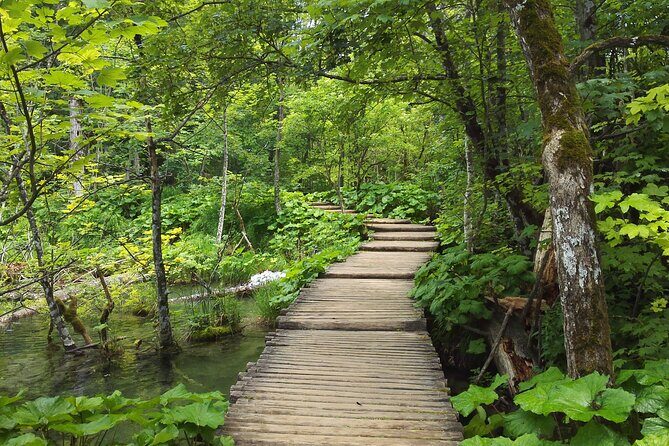 Plitvice Lakes & Rastoke village private tour from Zagreb - The Itinerary: What to Expect
