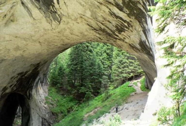 Plovdiv: Bachkovo Monastery, Asen Fortress, & Wonder Bridges - Practical Details: What You Get and What You Pay For