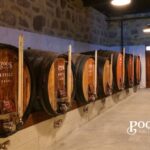 Poças: Guided Tour & Port Wine Tasting with Pastel de Nata - Who Will Enjoy This Tour?