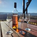 Podgorica: Panoramic Wine Tasting & Snack - Practical Tips for Visitors