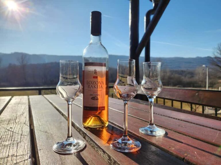 Podgorica: Panoramic Wine Tasting & Snack - Practical Tips for Visitors