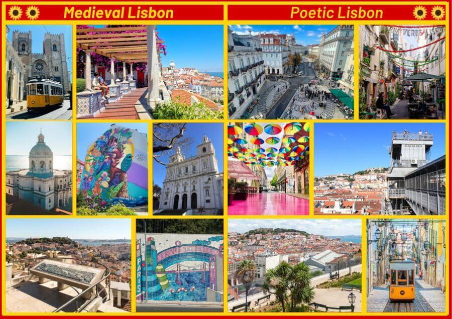 Poetic & Romantic Tuk Tuk Christmas City Tour. - Final Thoughts: Who Is This Tour Best For?