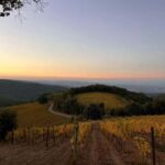 Poggio dell'Aquila: Brunello di Montalcino Wine Tasting - The Experience’s Strengths and Limitations