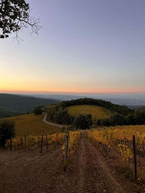 Poggio dell'Aquila: Brunello di Montalcino Wine Tasting - The Experience’s Strengths and Limitations