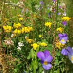 POIANA BRASOV and POSTAVARU CHALET eBike tour (BRASOV) - The Practicalities: What’s Included and What’s Not