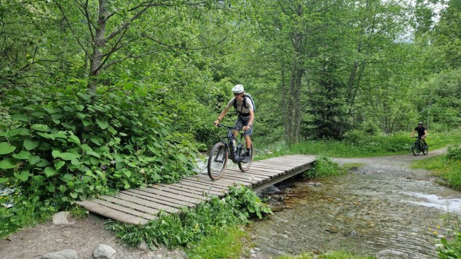Point of view on the glaciers of Chamonix by ebike - The Real Experience: What to Expect
