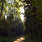 Pokaini stone agglomerates, Dobele castle, children park - Who Will Love This Tour?