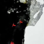 Polar Explorer Aurora Icebreaker Cruise & Ice Floating - The Itinerary Breakdown