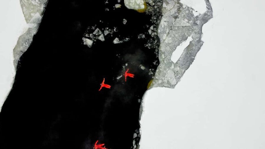 Polar Explorer Aurora Icebreaker Cruise & Ice Floating - The Itinerary Breakdown