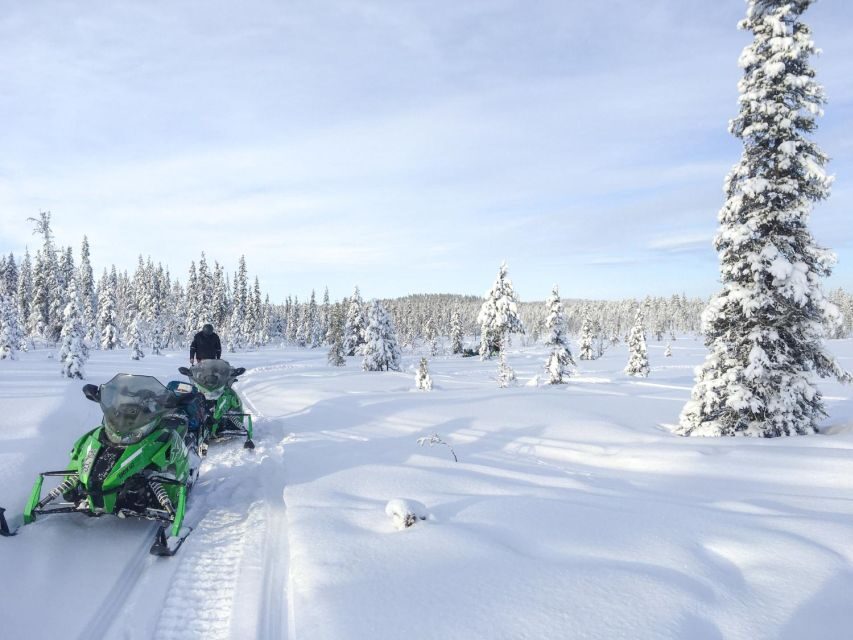 Polar Nature Tour on Snowmobile - The Real Experience, Based on Reviews