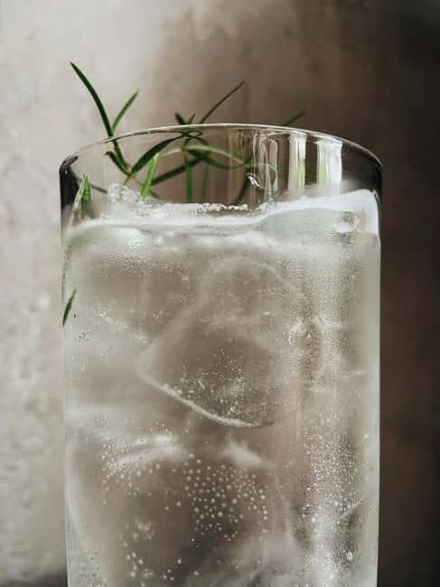 Polish Gin Tasting Tour in Gdansk - Who Should Consider This Tour?