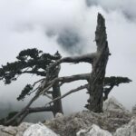 Pollino Hiking - day trips in the Pollino National Park - Key Points
