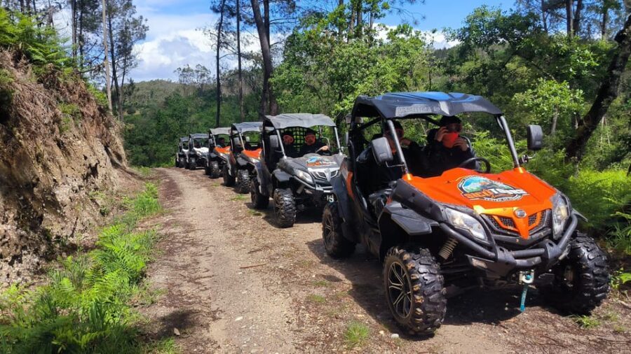 Pombal- Sicó: 60 minutes OFF-ROAD Buggy Ride - What to Expect During Your Ride