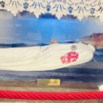 Pompei: Our Lady of the Rosary & St Bartolo Longo City Tour - What to Expect During the Tour