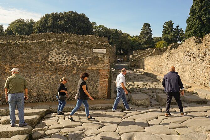 Pompei: Private tour from the Amalfi Coast - The Sum Up