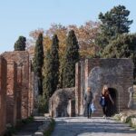 Pompei Private Tour With An Expert Archaeologist Guide - FAQ