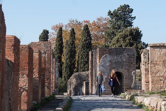 Pompei Private Tour With An Expert Archaeologist Guide - FAQ