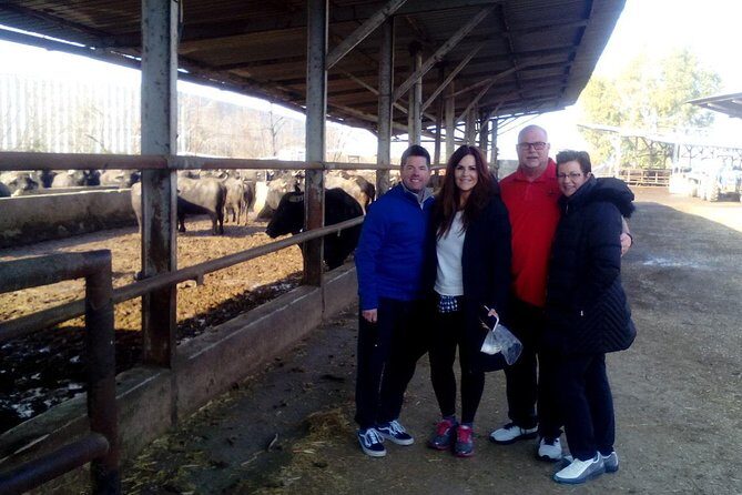 Pompeii and Herculaneum Skip-The-Line with Lunch and Wine Tasting from Rome - Practical Details & What They Mean for You
