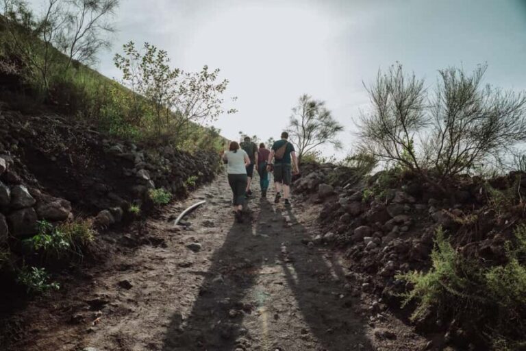 Pompeii and Mount Vesuvius excursion from Naples - The Real Feedback from Travelers