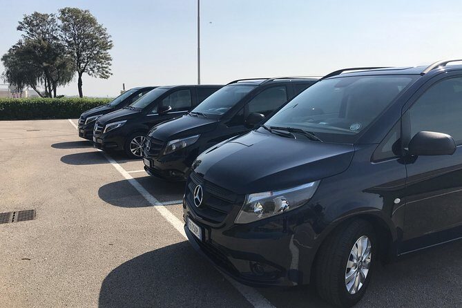 Pompeii and wine testing from Naples or Sorrento - Logistics and Practicalities