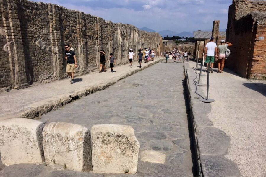 Pompeii: Guided Walking Tour with Entrance Ticket - What You’ll See During the Tour