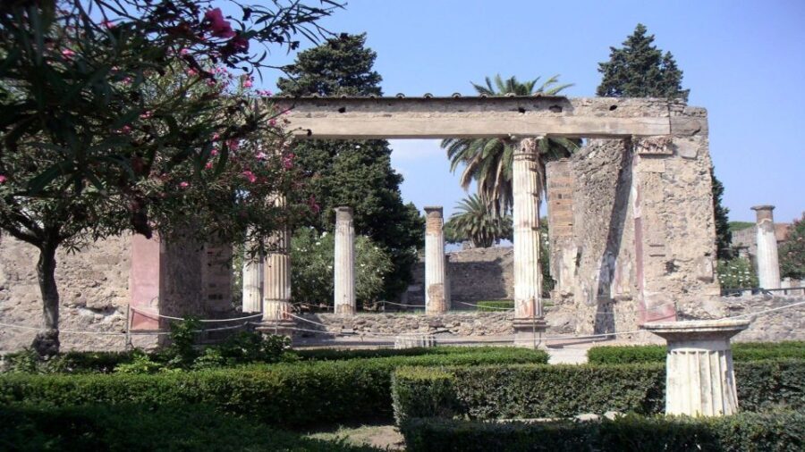 Pompeii Half-Day Coach Tour from Sorrento - Transportation, Price, and Group Size