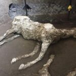 Pompeii Half-Day With Guide from Naples - What to Expect from the Pompeii Half-Day Tour