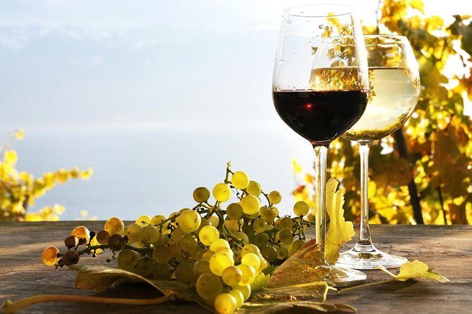 Pompeii & Wine Tour from Sorrento (tickets & lunch not included) - What We Loved About This Tour