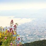 Pompeii&Vesuvius tour - How It Fits Into Your Trip