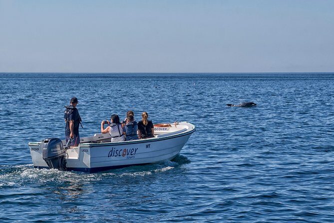 Ponta da Piedade Boat Tour to Caves and Beaches with Local Guide - Practical Details and Considerations