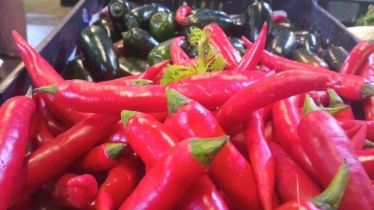 Ponta Delgada: Fat Dolphin Food Tours - Insights from Guests and Review Highlights