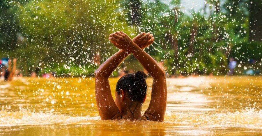 Ponta Delgada: Full-Day Van Tour to Furnas Valley - First Stop: Gorreana Tea Factory