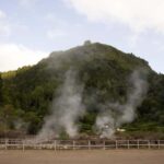 Ponta Delgada: Furnas Hot Springs & Food Private Tour - Who Will Love This Tour?