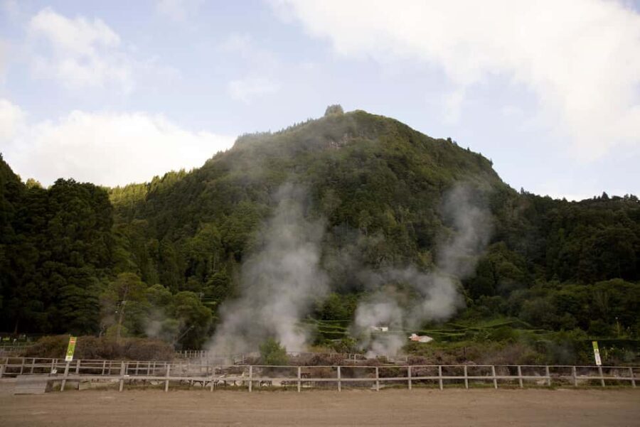 Ponta Delgada: Furnas Hot Springs & Food Private Tour - Who Will Love This Tour?