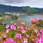 Ponta Delgada: Private Tour Sete Cidades Green e Blue Lakes - What Makes This Tour Stand Out?