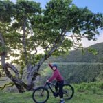 Ponta do Pargo: Madeira E-Bike Rental - Why We Think This Tour Works Well