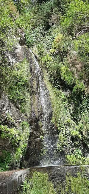 Ponta do Sol: Guided tour of the banana plantations by a local - What we liked most