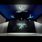 Ponta Do Sol : Madeira Banana Museum guided tour - Inside the Museum: What Will You See?