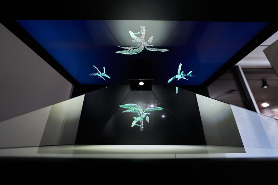 Ponta Do Sol : Madeira Banana Museum guided tour - Inside the Museum: What Will You See?