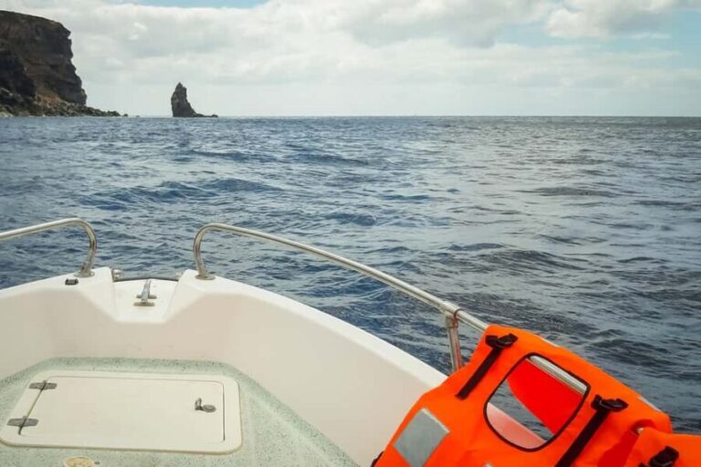 Ponta São Lourenço PR8: Private Guided Walk and boat return - Practical Details and What to Expect