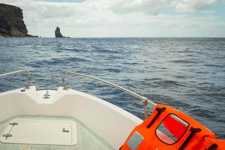 Ponta São Lourenço PR8: Private Guided Walk and boat return - Practical Details and What to Expect