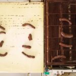 Pontremoli: Visit to the Chocolate Factory with Show Cooking and Tasting - What to Expect from the Chocolate Factory Tour