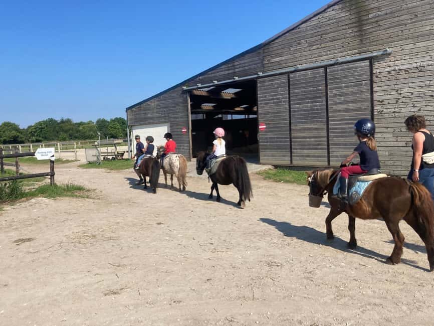 PONY DISCOVERY RIDE - What Travelers Say