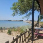 Poole Harbor: 2, 3, 4, 6, or 8-Hour Boat Rental Service - Exploring the Harbour and Its Highlights