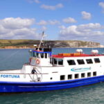 Poole: Jurassic Coast Circular Cruise - FAQ