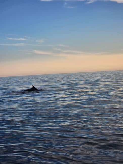 Pore Private Sunset Dolphin Cruise on Yacht - The Details: What You Need to Know