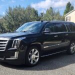 Port Canaveral Cruise Transfer to/from Orlando Intl Airport - The Booking Process and Pricing